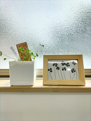 よつばを探してね